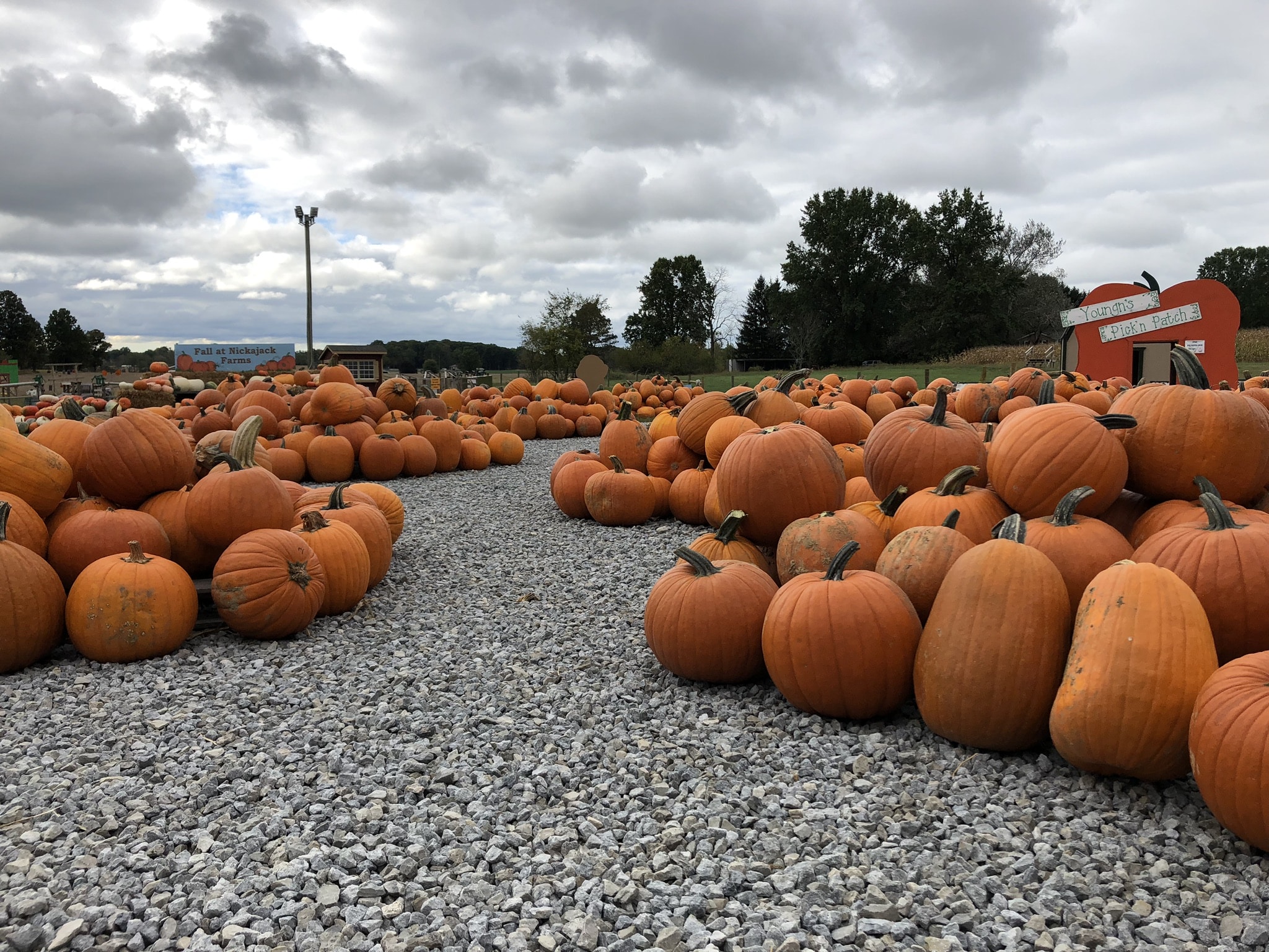 Nickajack Farms Field Trips and Tours Nickajack Farms