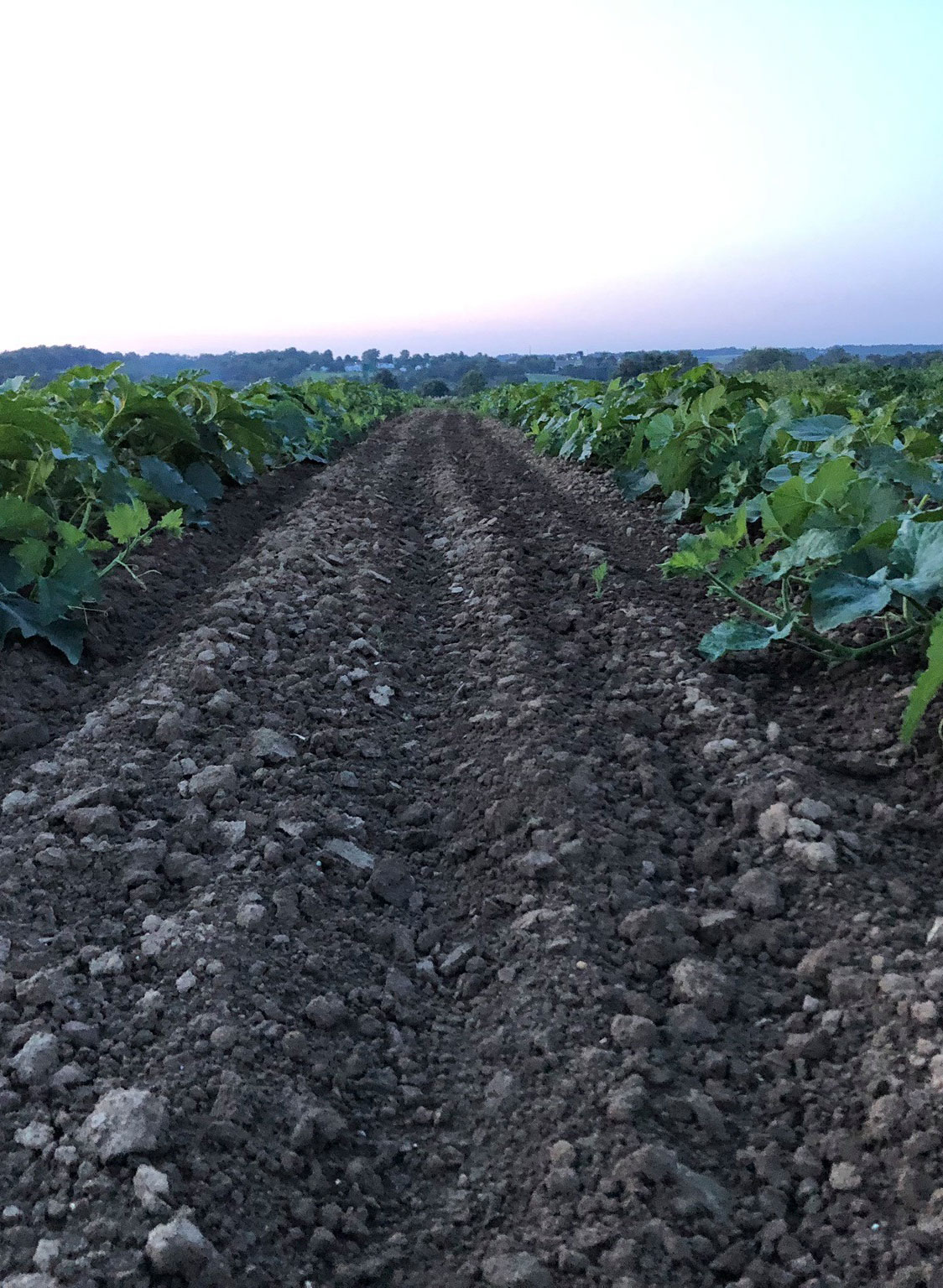 farm field tours