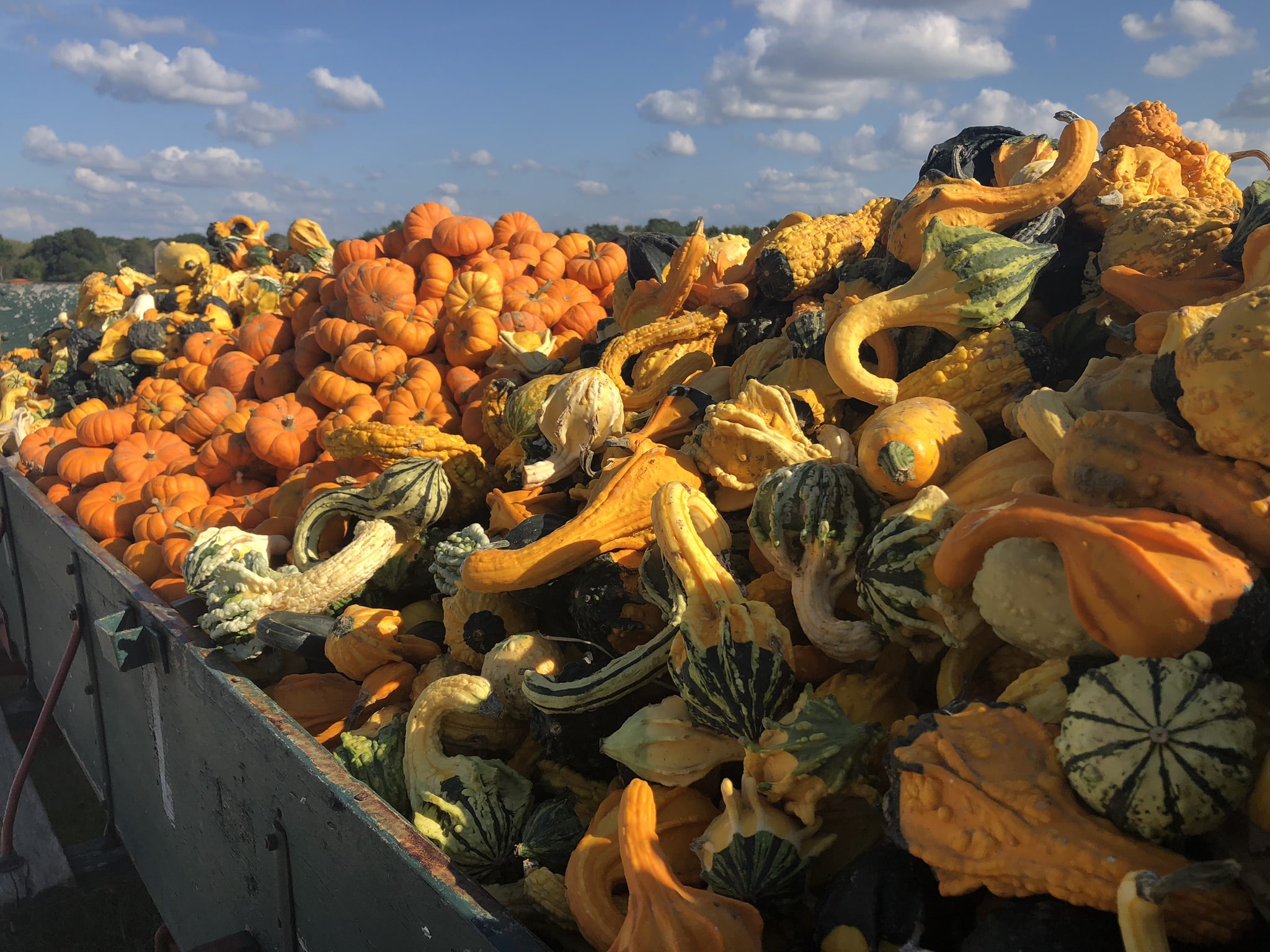 farm field tours