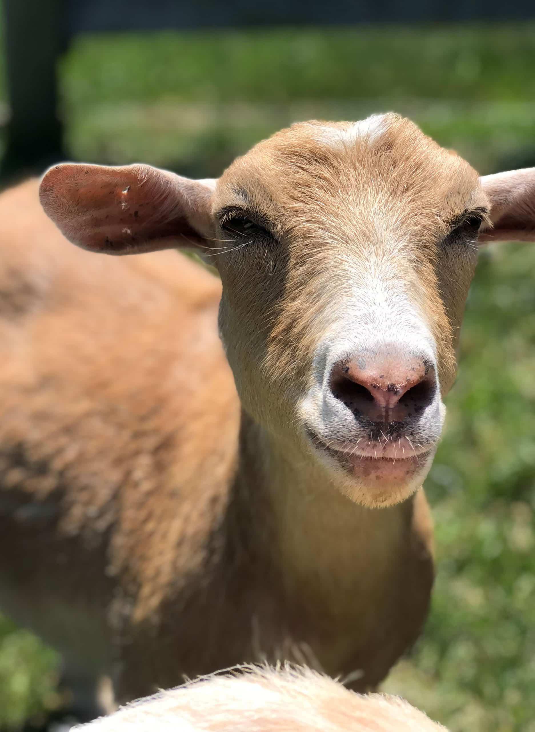 farm field tours