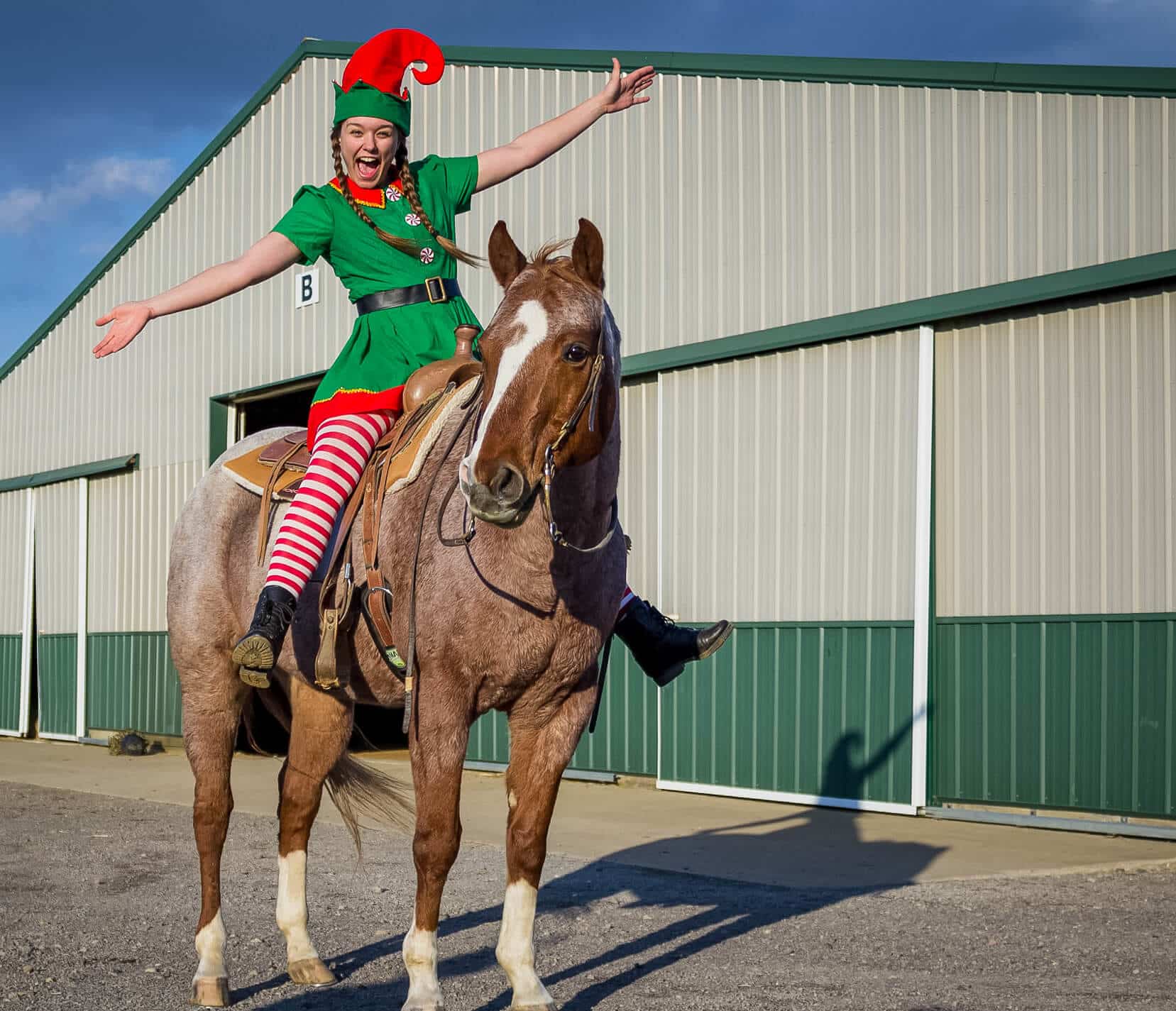 Elf on a horse