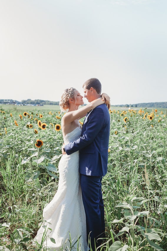 Wedding picture in the sunflowers