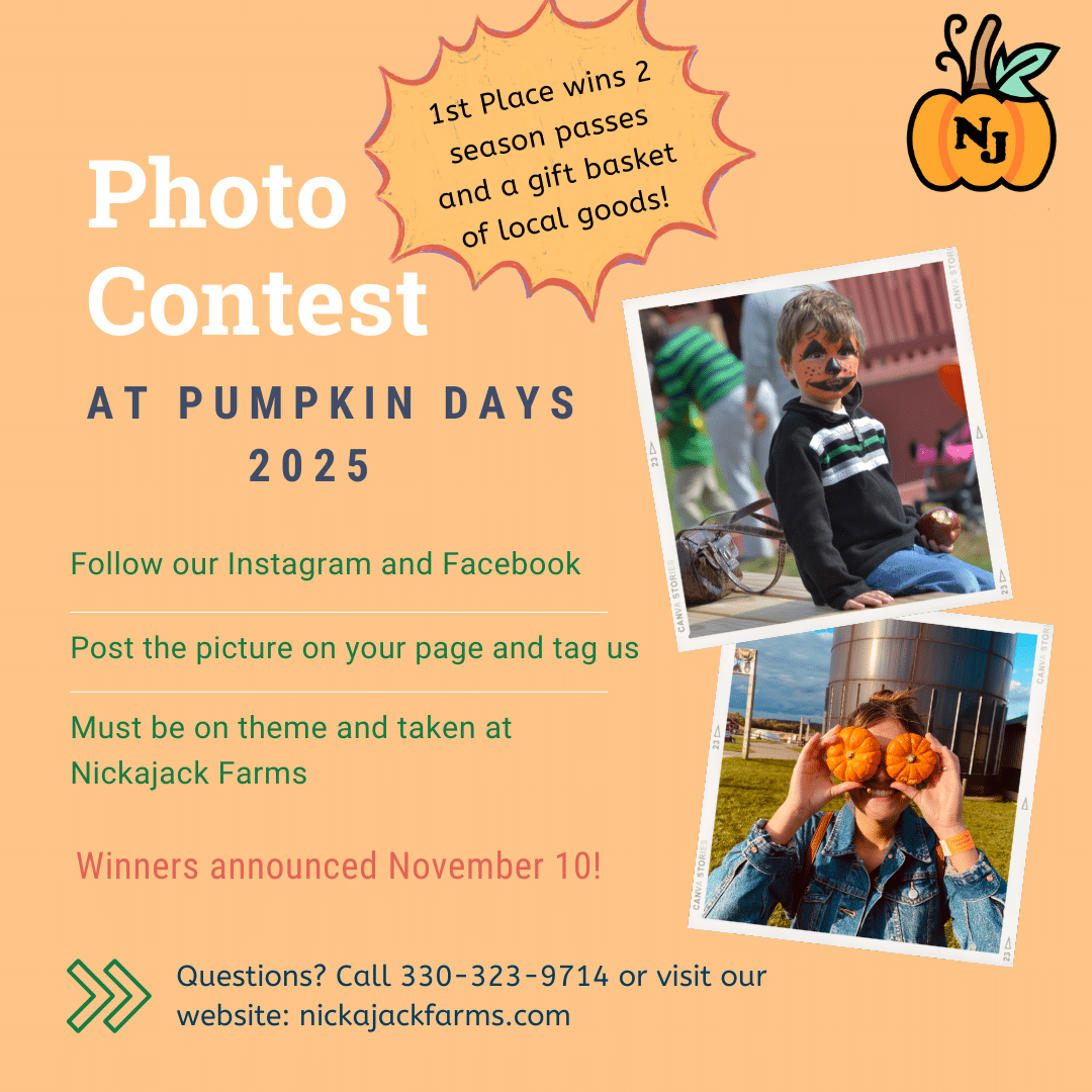 photo contest canva